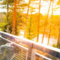 Accessible Housing for People with Cerebral Palsy